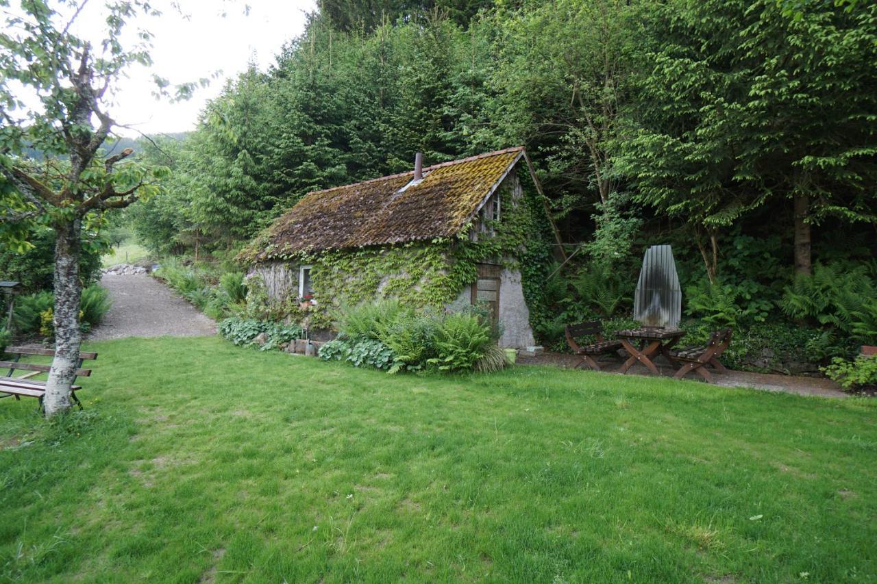 Kandel - Stubenhof, Black Forest Simonswald Zewnętrze zdjęcie
